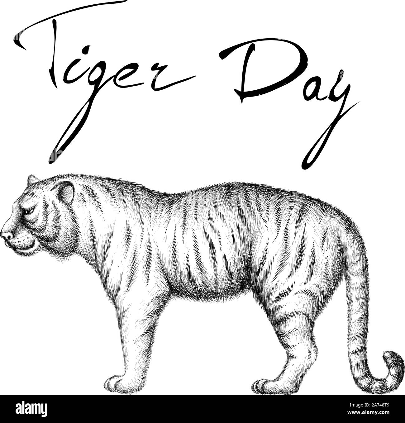 Le logo Vector tiger pour tatouage ou T-shirts ou d'extérieur. Style de chasse tigers imprimer sur fond noir. Ce dessin est pour un tissu noir ou ca Illustration de Vecteur