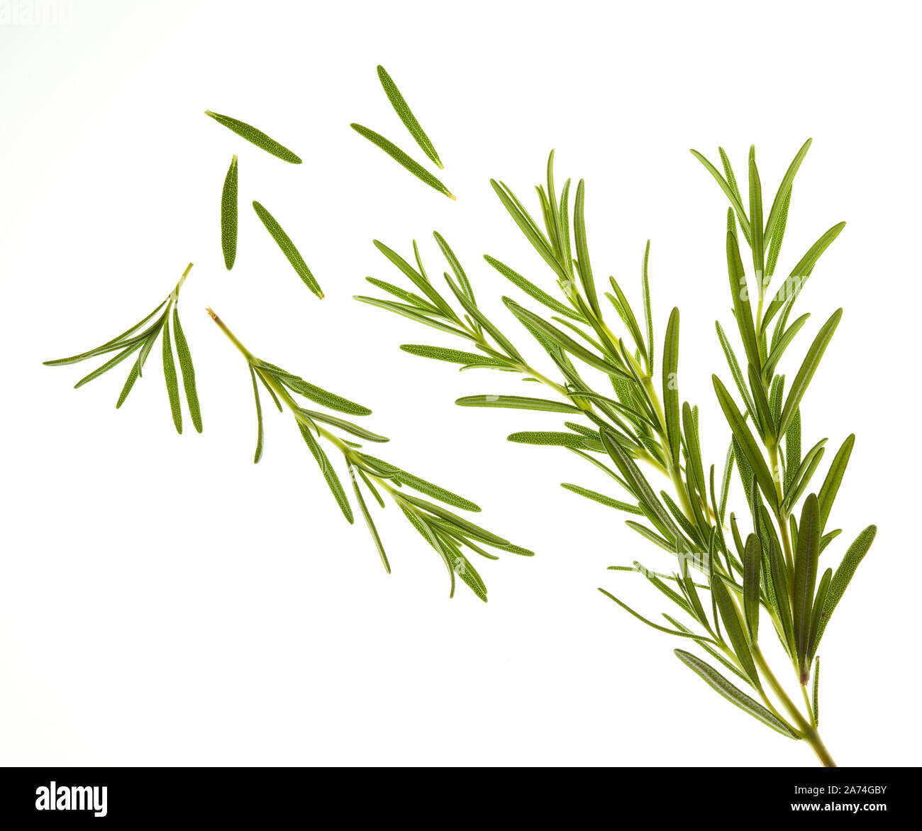 Herbes, Rosemary sur métro blanche Banque D'Images
