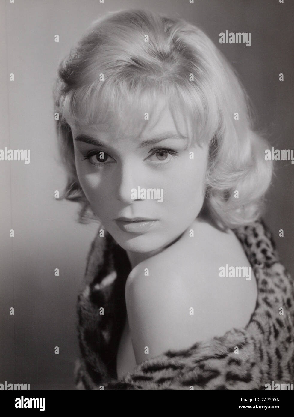 Susanne Cramer, deutsche Schauspielerin 1950er Jahre, Deutschland. L'actrice allemande Susanne Cramer, l'Allemagne des années 1950. Banque D'Images