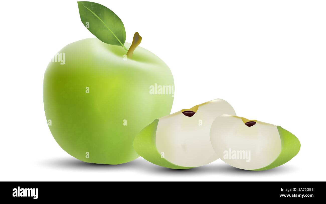 La pomme verte réaliste. 3D réaliste des pommes. Illustration 3d détaillés isolé sur blanc. Conception de fruits sains et naturels en EPS10 vector illustration. Illustration de Vecteur