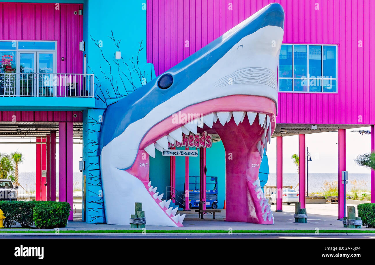 Une tête de requin et l'entrée du bâtiment de couleur rose vif à Sharkheads clients accueille une boutique de souvenirs, le 22 octobre 2019 à Biloxi, Mississippi. Banque D'Images