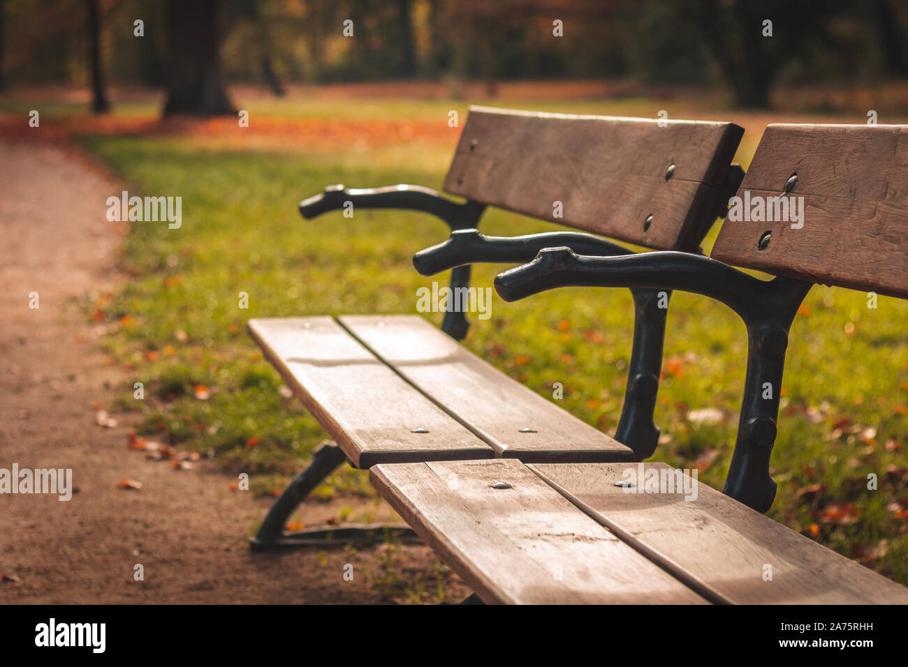 Sur un banc de parc d'automne sur fond d'une journée ensoleillée. Banc en bois capturé à Bad Muskau, Saxe, Allemagne. Banque D'Images