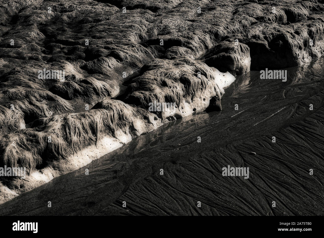 Image infrarouge - découverte des roches de craie surmontée d'algues à marée basse (près de dumpton gap) - resort de broadstairs - Île de Thanet - Kent - Angleterre - Royaume-Uni Banque D'Images
