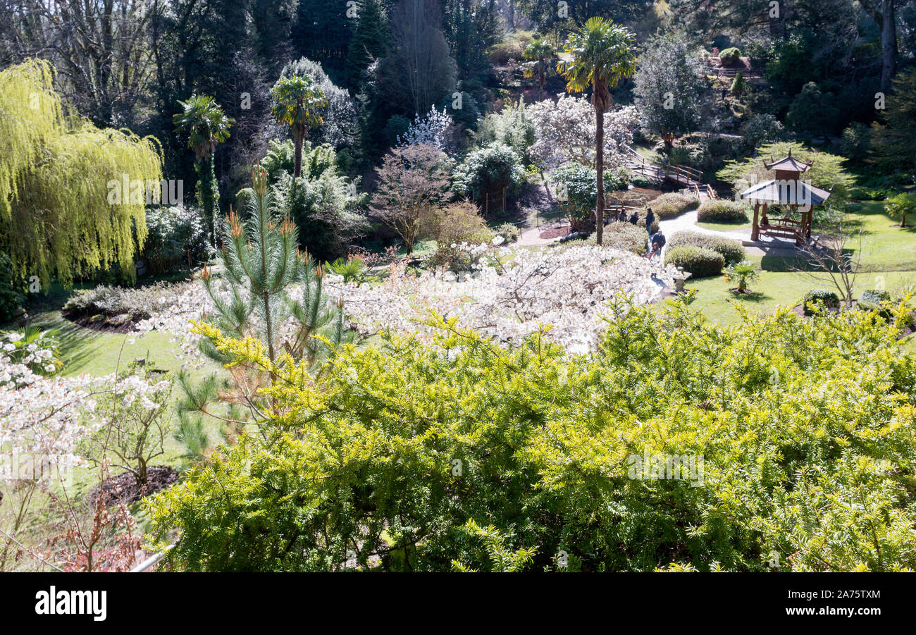 Jardin de style japonais est une partie d'immenses jardins de Powerscourt Estate, comté de Wicklow, en Irlande. Banque D'Images