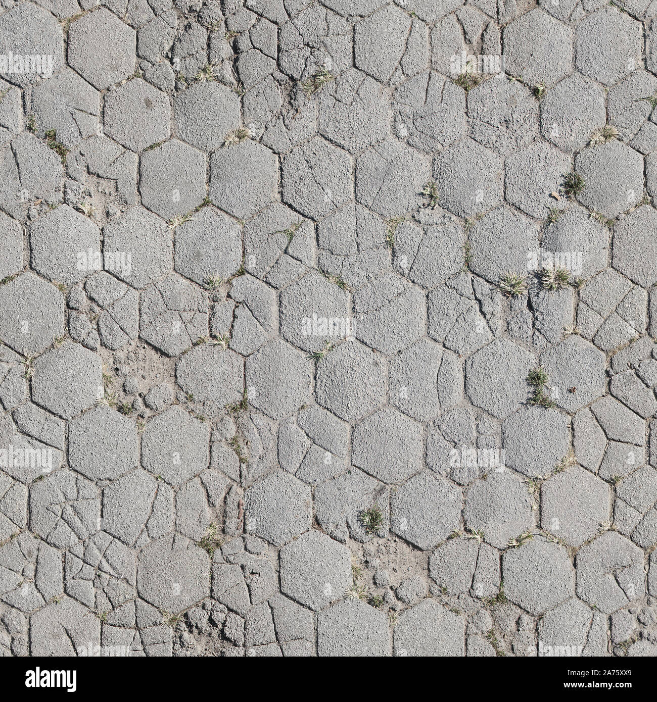 Seamless texture de trottoirs pavés hexagonale. New York. USA. Banque D'Images