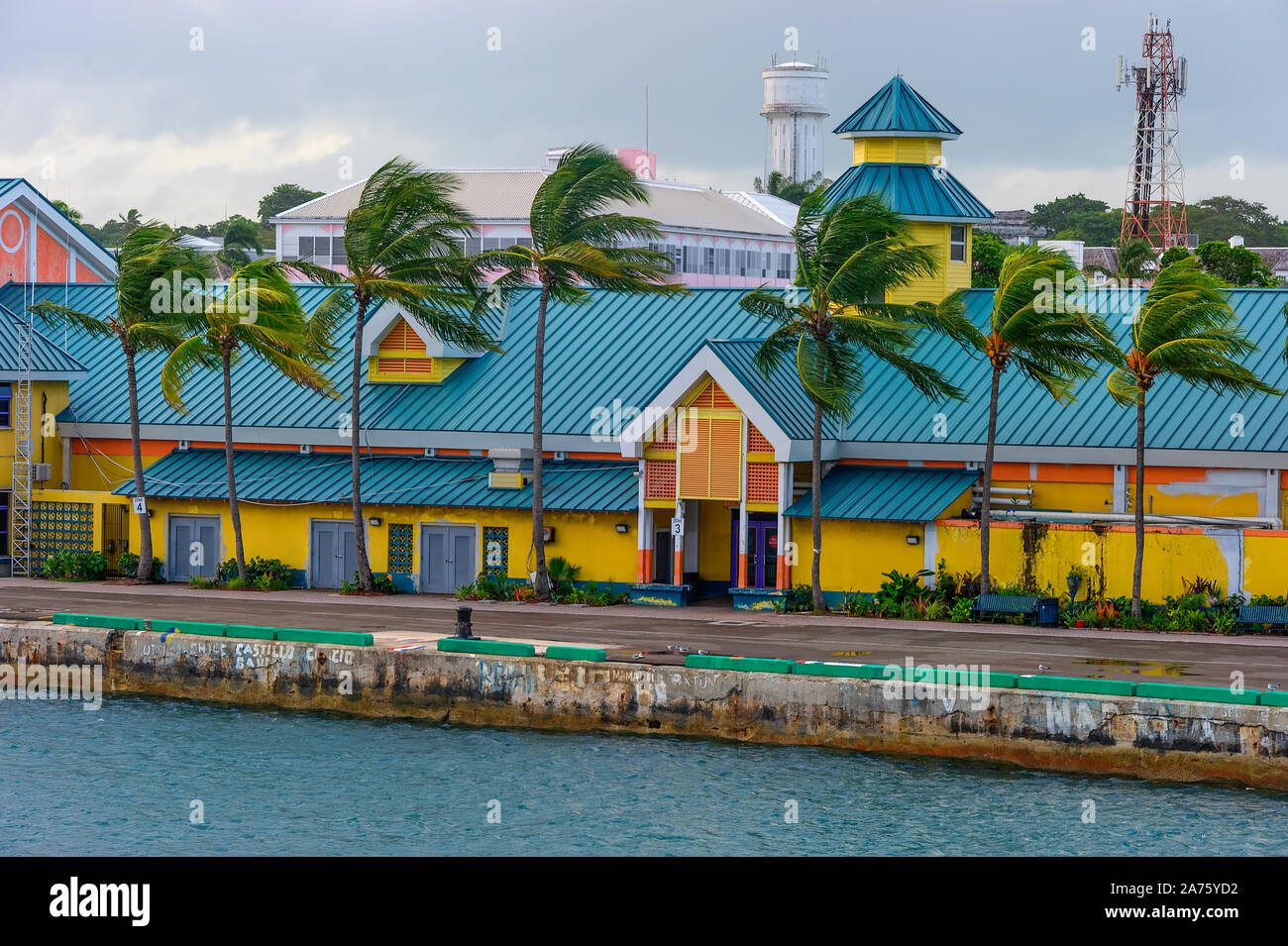 Pliez les feuilles de palmier au vent d'une tempête en face de colorful terminal à Prince George Wharf à Nassau, Bahamas, New Providence Island. Banque D'Images