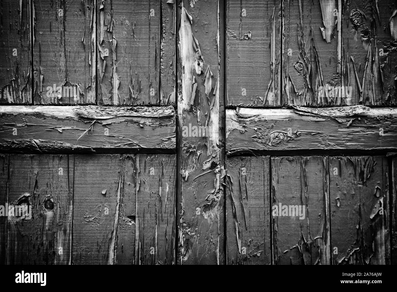 Mur en bois peint vert, détail de vieux bois gâté, fond vert Banque D'Images