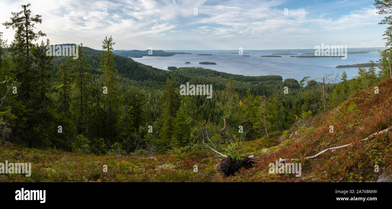 Un paysage panoramique des lacs finlandais et les forêts prises de vue haute Banque D'Images