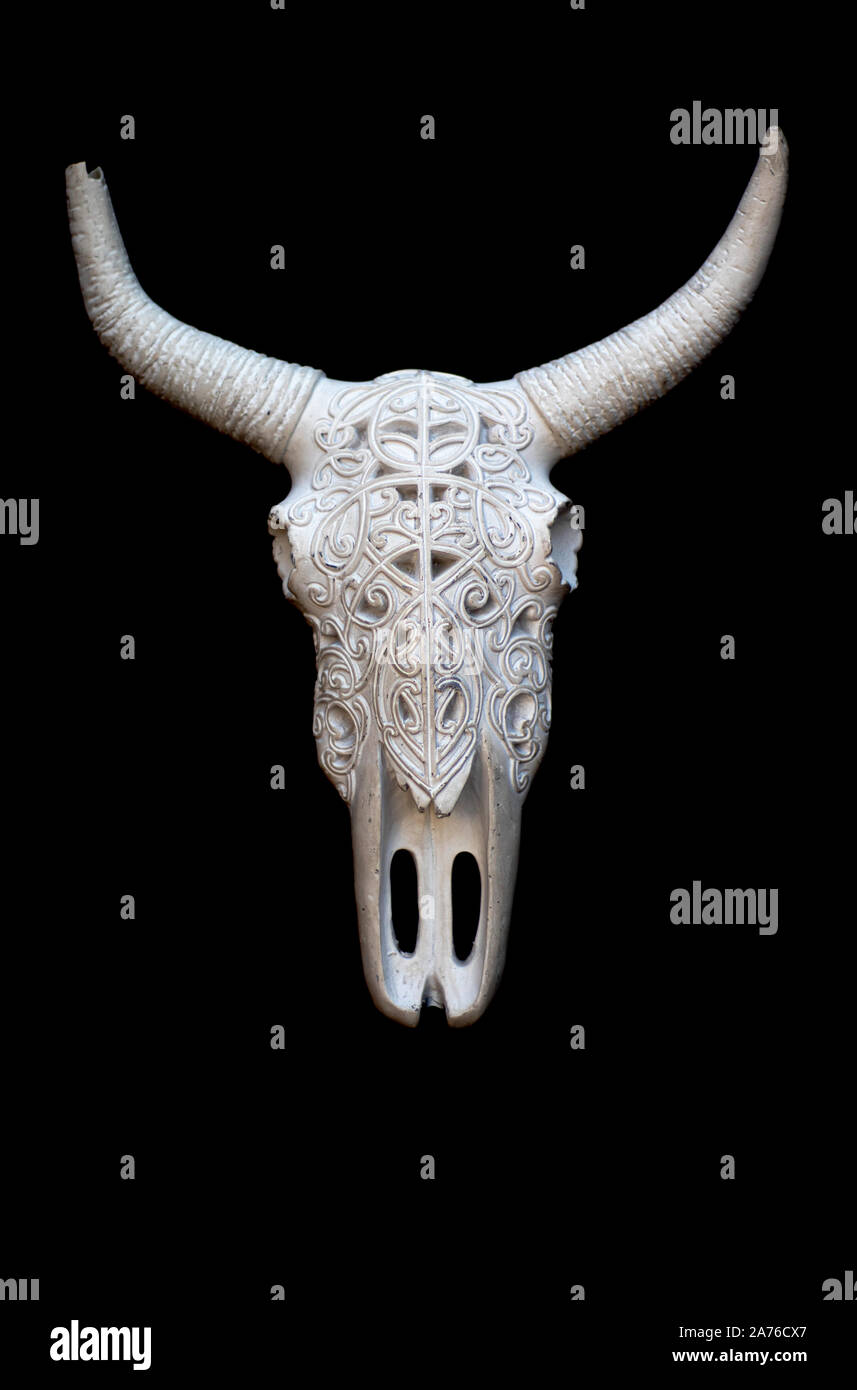 Une vache décoratif isolé/crâne de buffle sur bagkground sombre avec un hornn. Utilisé pour la décoration intérieure, design branché Banque D'Images