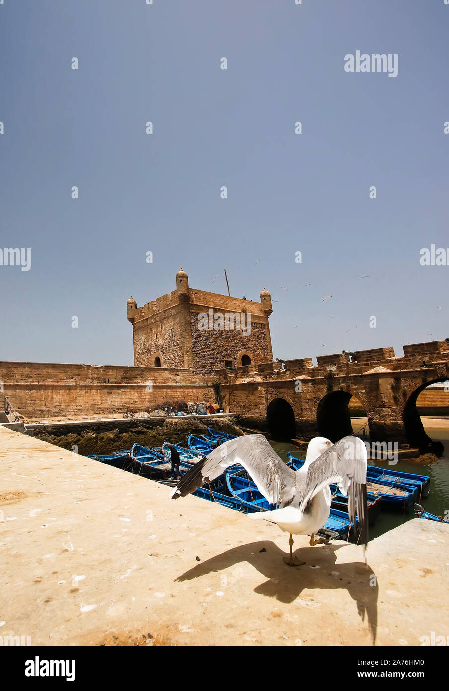 Bateaux de pêche bleu dans le port d'Essaouira, Maroc Banque D'Images
