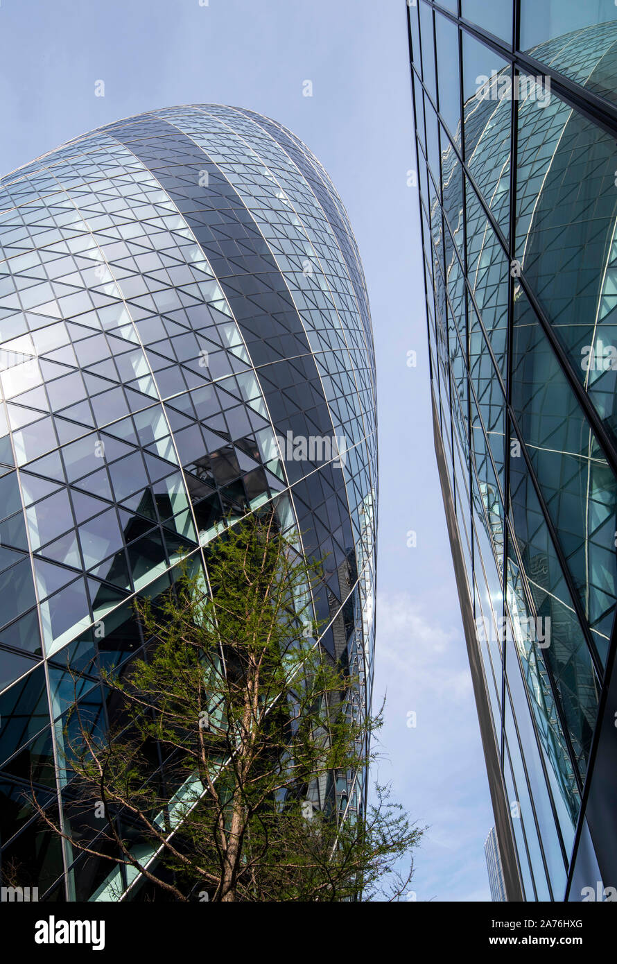 Les réflexions dans le Gherkin dans le quartier financier de Londres, Angleterre, Royaume-Uni Banque D'Images