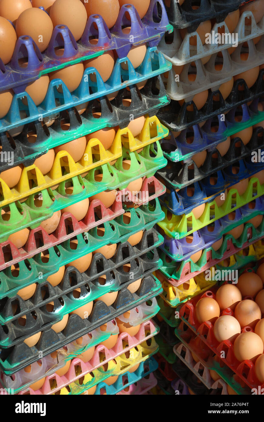 La vente des oeufs, Yangon, Myanmar, en Asie. Banque D'Images