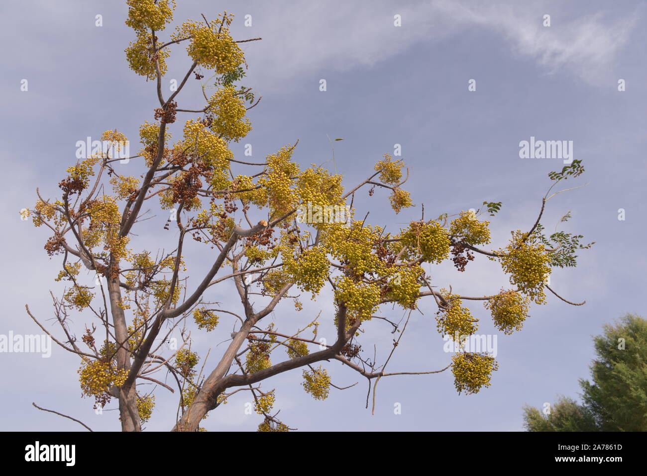 Voyager en Grèce Banque D'Images