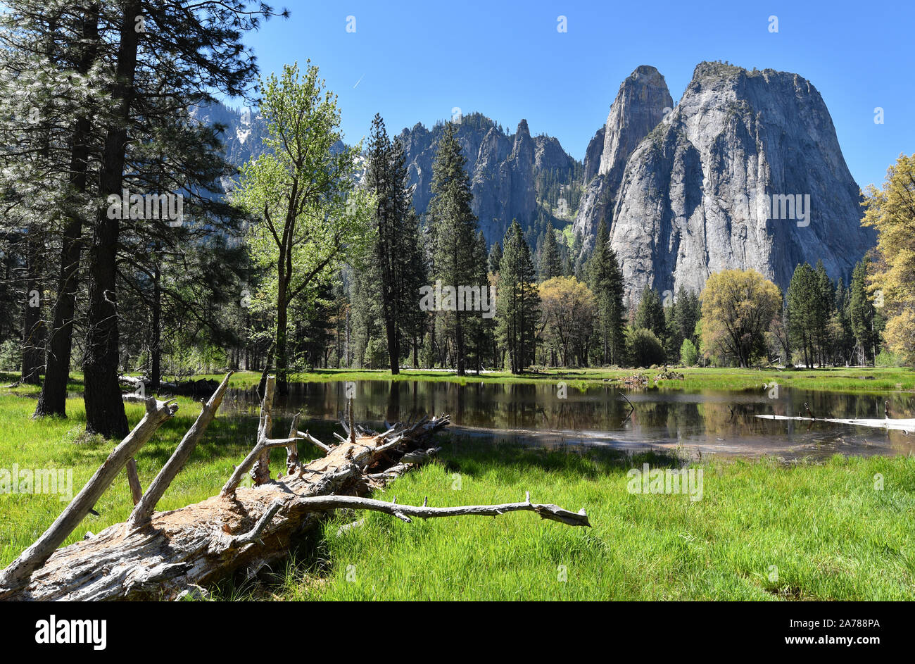 Les roches de la cathédrale vue depuis la vallée, Yosemite National Park, California, USA. Banque D'Images