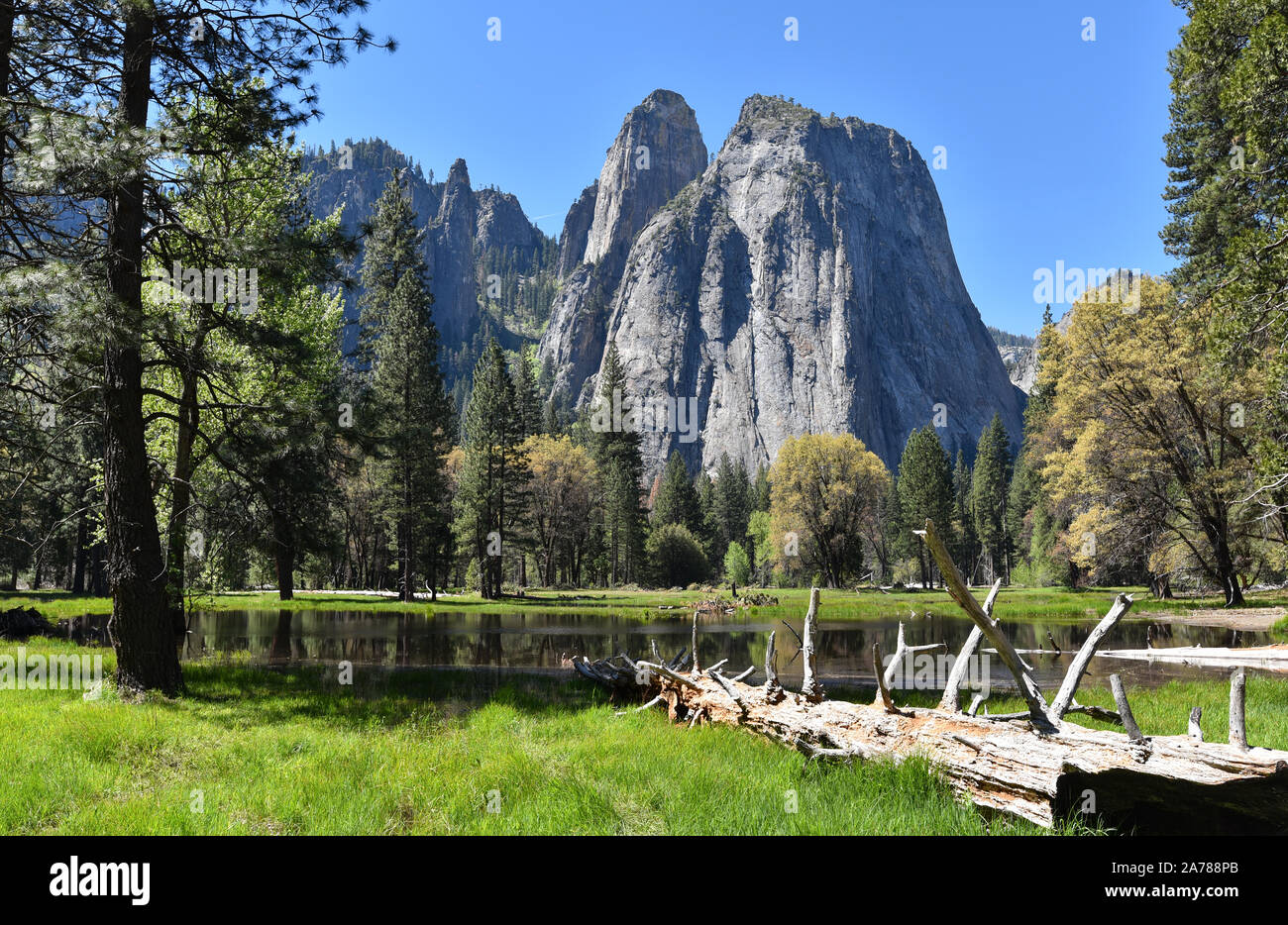 Les roches de la cathédrale vue depuis la vallée, Yosemite National Park, California, USA. Banque D'Images