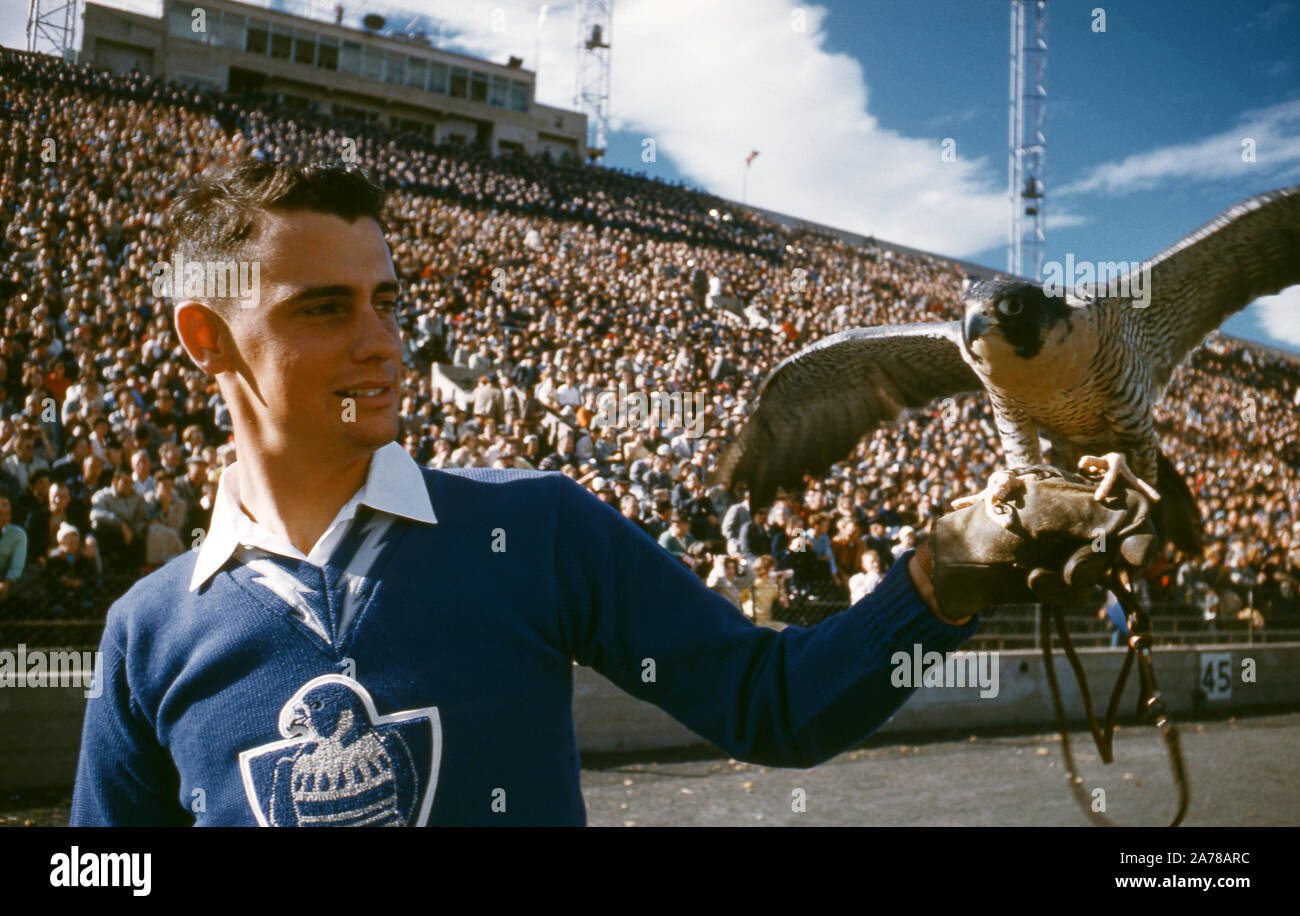DENVER, CO - Novembre 8 : vue générale de la mascotte de l'Air Force Falcons avant le match contre les pionniers de Denver, le 8 novembre 1958 à Du Stadium de Denver, Colorado. (Photo de Hy Peskin) Banque D'Images