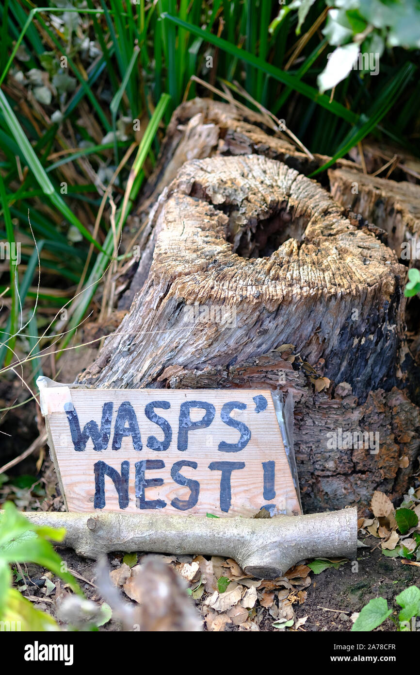 Panneau d'avertissement dans lit de fleur de la présence d'un des guêpes (Vespula Vulgaris) nichent dans le moignon d'un tronc d'arbre Banque D'Images