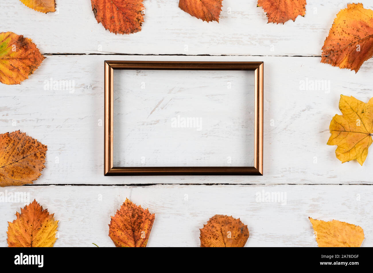 Composition d'automne arrière-plan. Forme carrée de feuilles rouillées avec cadre photo Blanc sur blanc .bois Haut afficher, copier, de l'espace télévision lay . Banque D'Images