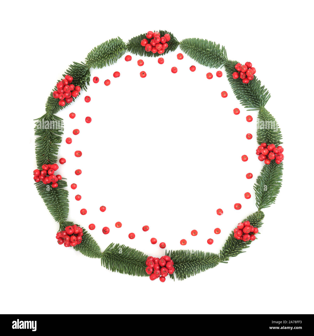 L'hiver et Noël holly berry et epicea sapin couronne, avec des fruits rouges sur fond blanc. Symbole traditionnel pour les fêtes. Banque D'Images