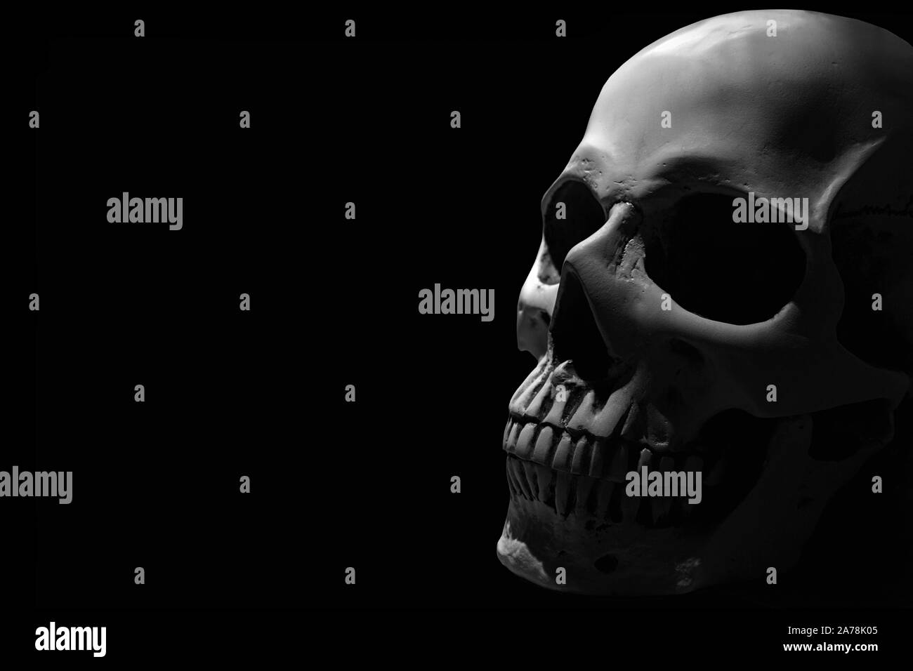 Crâne humain blanc sur fond noir partiellement dans l'ombre Banque D'Images