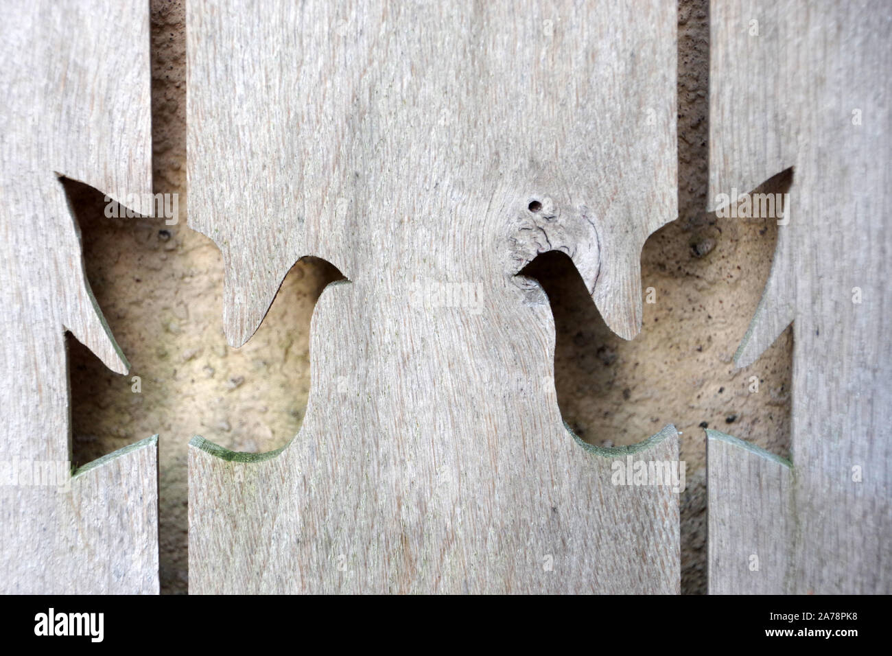 Détail de colombe découpé sur un banc au doocot dans les motifs de Dumfries House dans l'Ayrshire. Banque D'Images