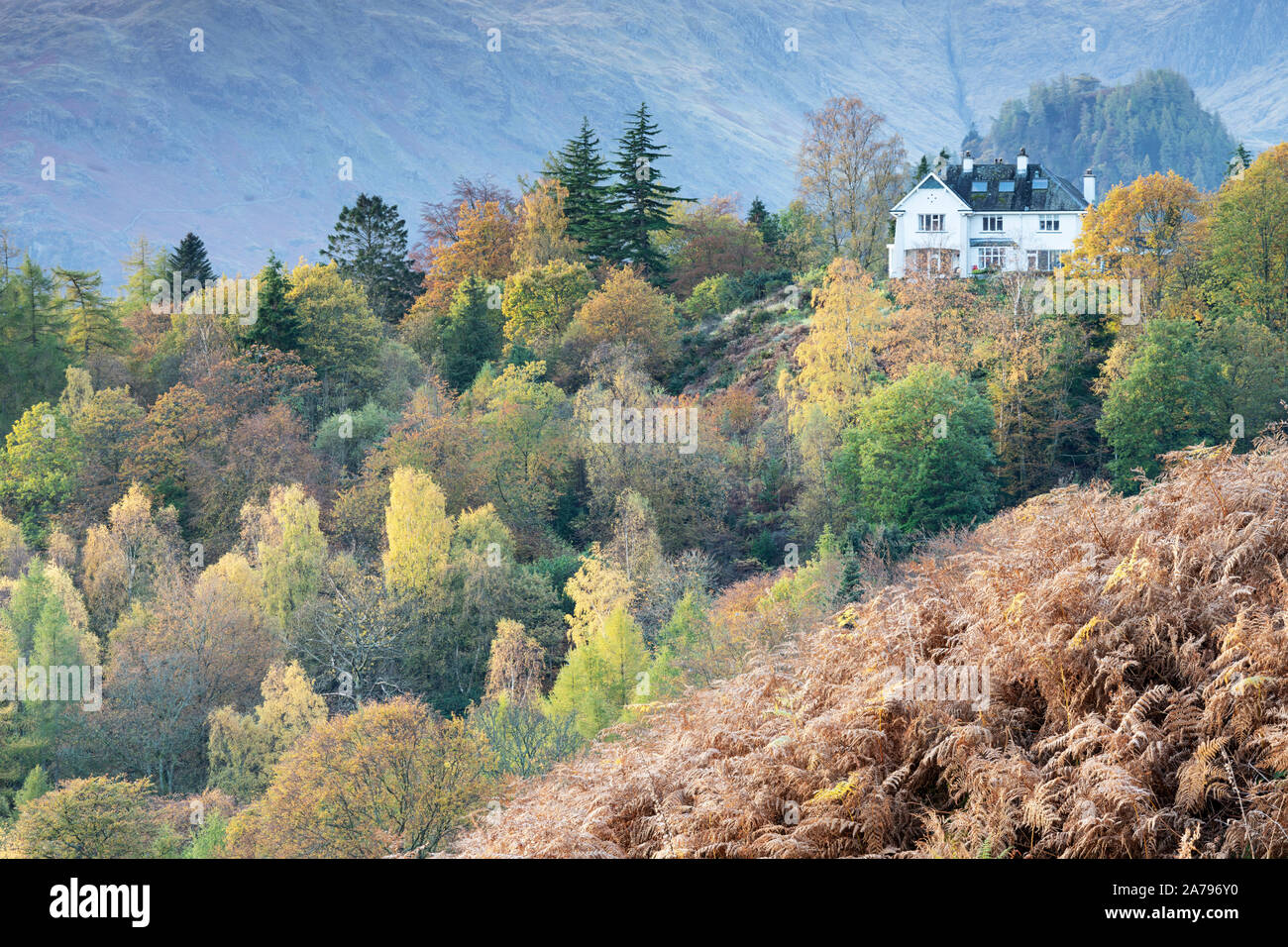 Bois, Manesty Fellside House et distant Castle Crag in Borrowdale, Lake District. Banque D'Images