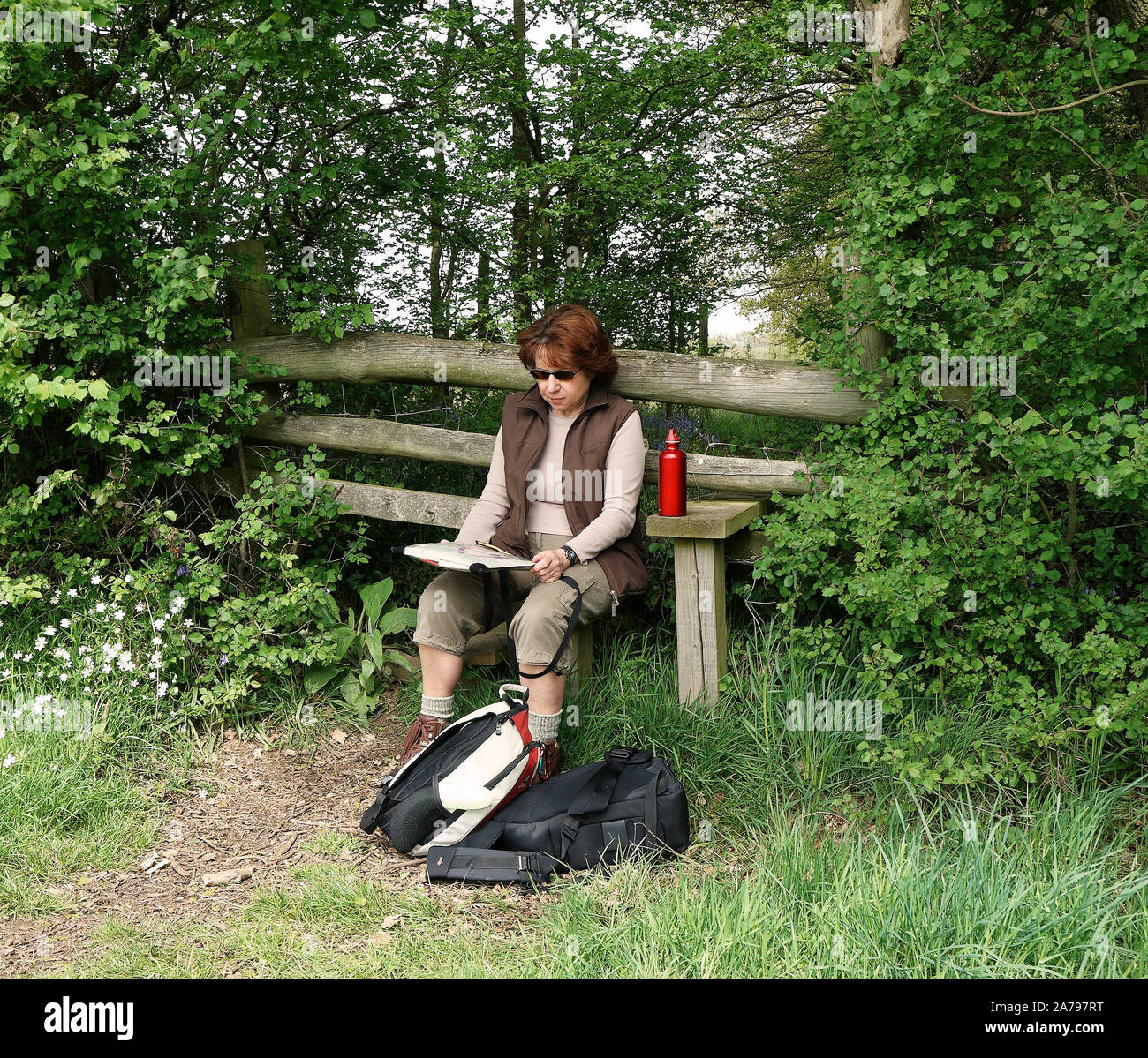 Rambler dame assise sur un Stile la lecture d'une carte sur un sentier rural Banque D'Images