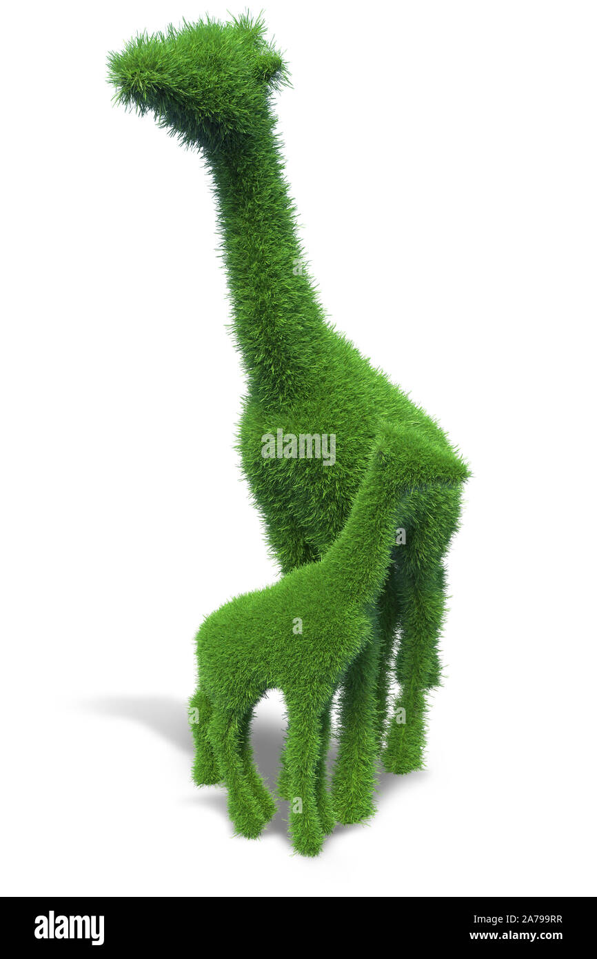 Girafe de l'herbe verte. Représentant le concept de conservation de la nature et des animaux. Banque D'Images