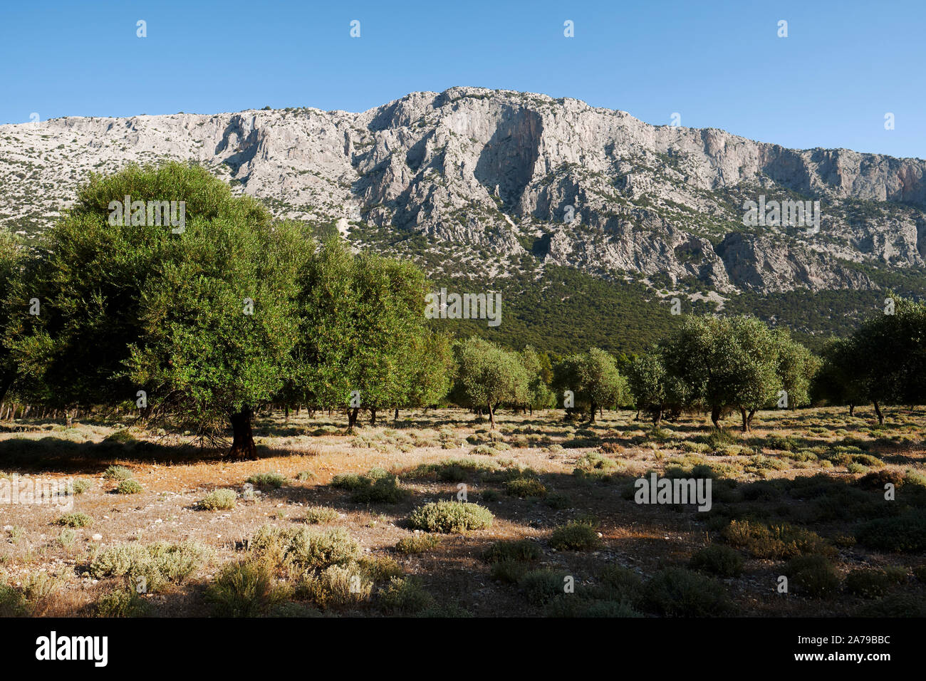 La gamme de montagne Supramonte paysage de la campagne de l'intérieur de la province de Nuoro dans la région Sardaigne Italie Europe Banque D'Images