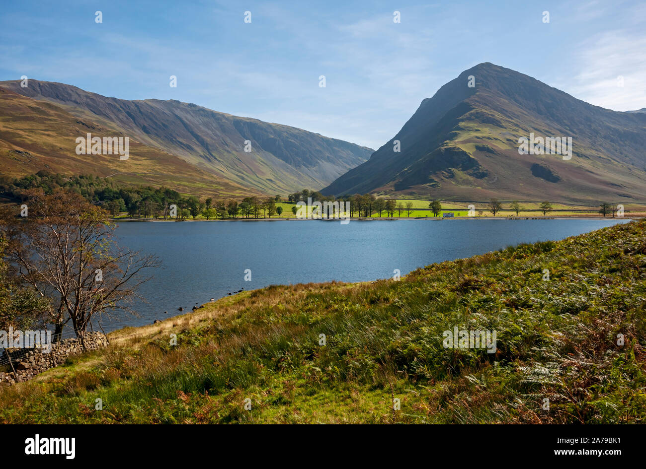 En regardant vers le sud vers Dale Head et Fleetwith Pike Buttermere dans le parc national Summer Lake District Cumbria Angleterre Royaume-Uni Grande-Bretagne Banque D'Images