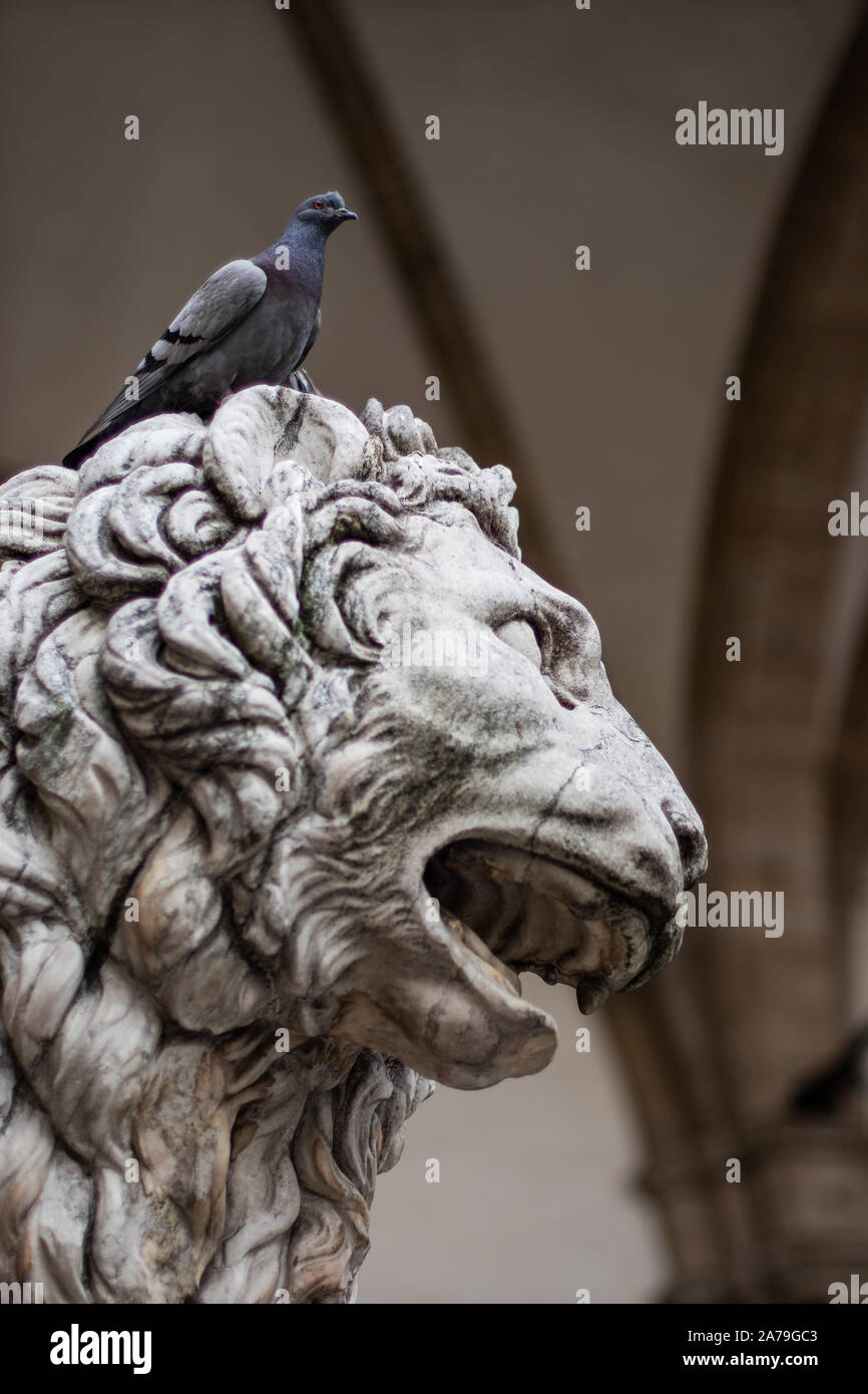 Tête de lion en marbre sculpture close up encore avec un pigeon sur la tête Banque D'Images