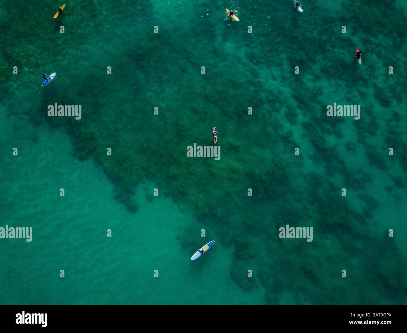 Drone aérien de surfeurs dans l'océan Pacifique près de la plage de Waikiki, Honolulu, Hawaii Banque D'Images