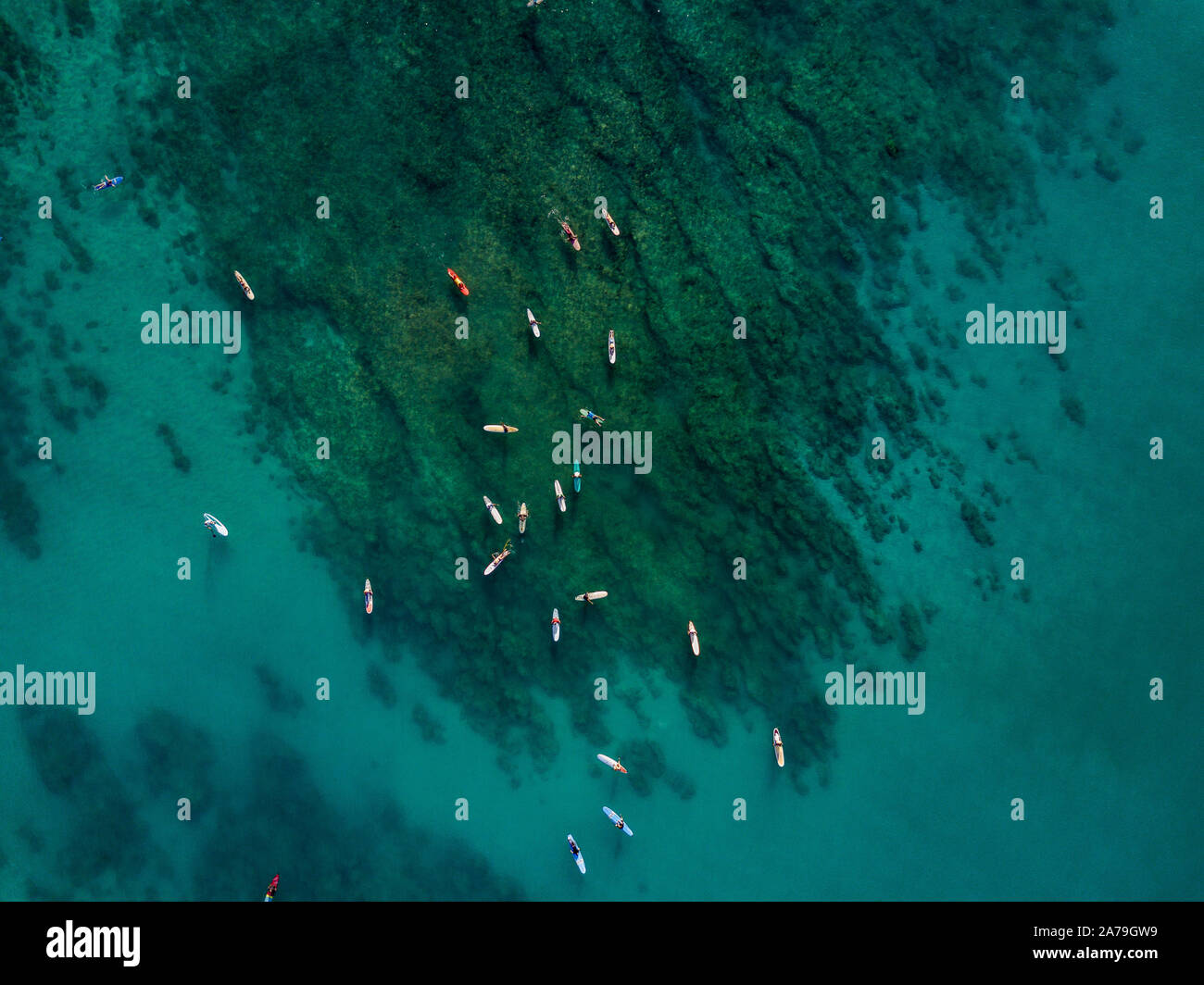 Drone aérien de surfeurs dans l'océan Pacifique près de la plage de Waikiki, Honolulu, Hawaii Banque D'Images