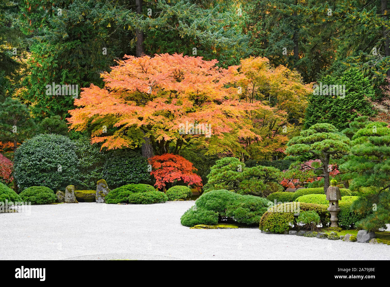 Les érables et autres arbres feuillus exotiques jaune et rouge dans le célèbre jardin japonais de Portland, Oregon, en automne. Banque D'Images