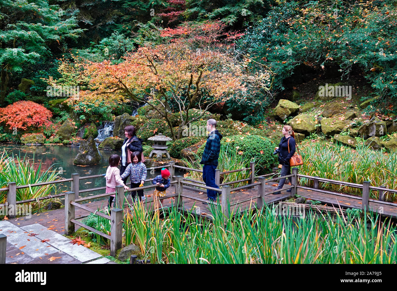 Les érables et autres arbres feuillus exotiques jaune et rouge dans le célèbre jardin japonais de Portland, Oregon, en automne. Banque D'Images