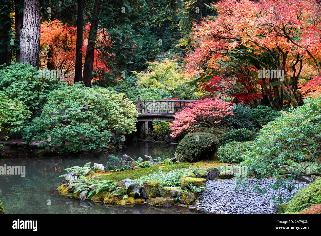 Les érables et autres arbres feuillus exotiques jaune et rouge dans le célèbre jardin japonais de Portland, Oregon, en automne. Banque D'Images