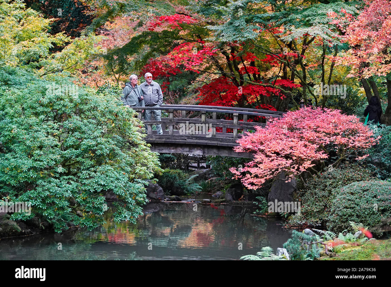 Les érables et autres arbres feuillus exotiques jaune et rouge dans le célèbre jardin japonais de Portland, Oregon, en automne. Banque D'Images