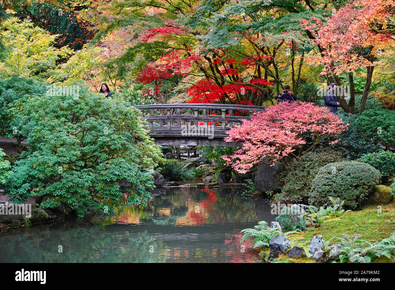 Les érables et autres arbres feuillus exotiques jaune et rouge dans le célèbre jardin japonais de Portland, Oregon, en automne. Banque D'Images