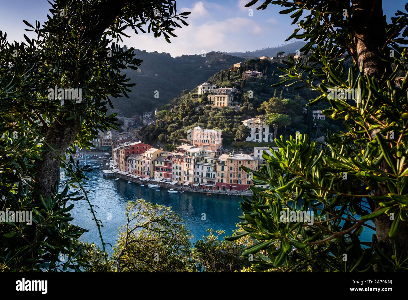 Magnifique baie avec des bateaux et des maisons colorées à Portofino, ligurie, italie Banque D'Images