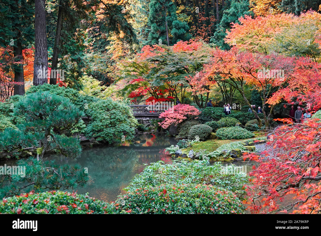 Les érables et autres arbres feuillus exotiques jaune et rouge dans le célèbre jardin japonais de Portland, Oregon, en automne. Banque D'Images