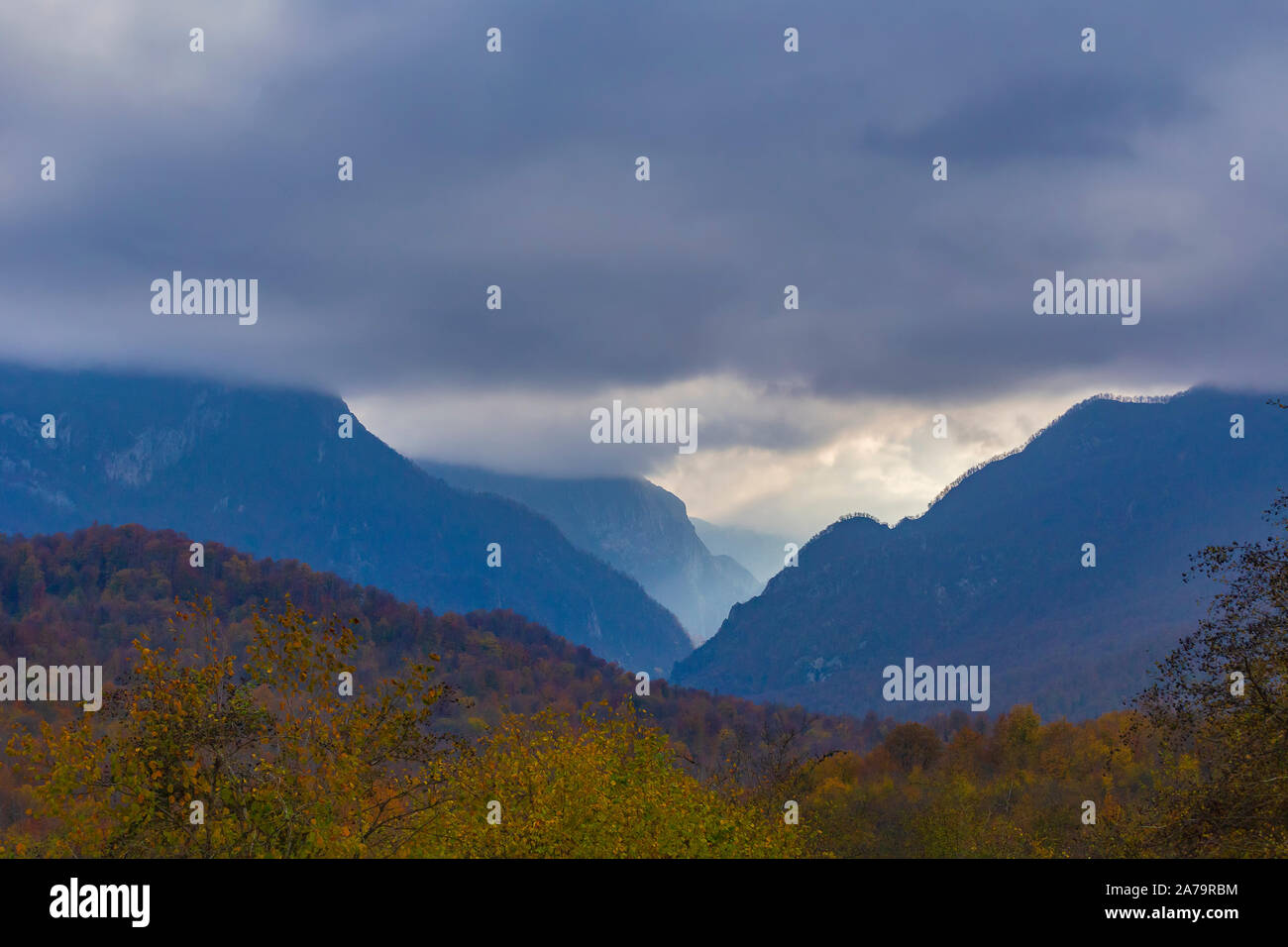 Gorge de montagne en automne couverte de brouillard Banque D'Images