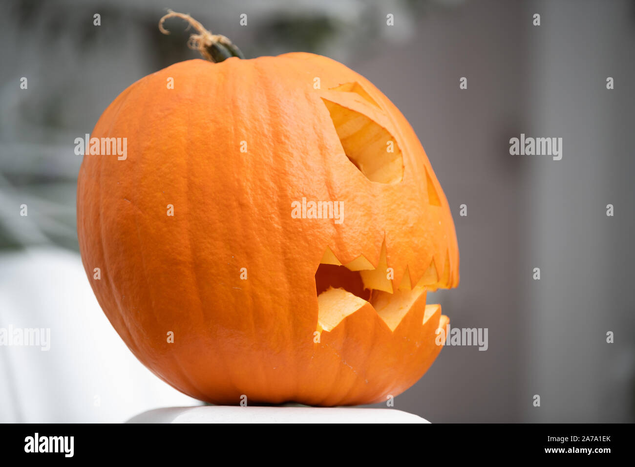 Image claire d'un profil de prêt pour l'Halloween citrouille sculptée Banque D'Images