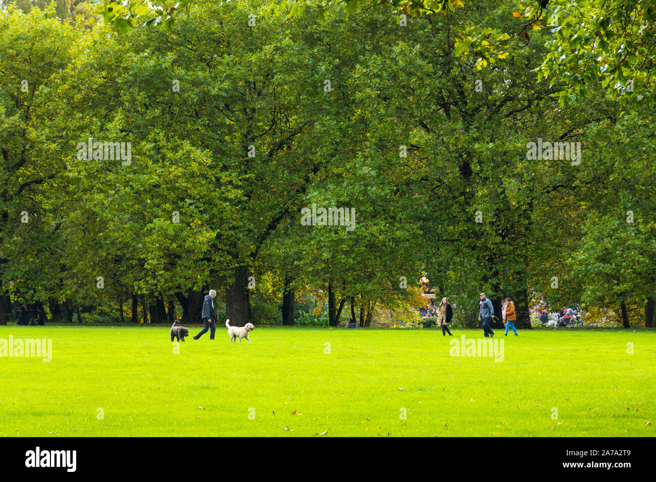 Sefton Park, les gens marcher les chiens, Liverpool, Angleterre, Royaume-Uni Banque D'Images