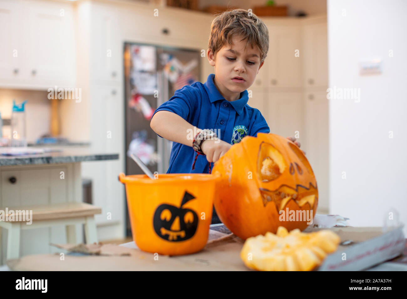 Un garçon de 6 ans qui a racé la croûte à l'intérieur d'une citrouille sculptée avant Halloween, Angleterre, Royaume-Uni Banque D'Images