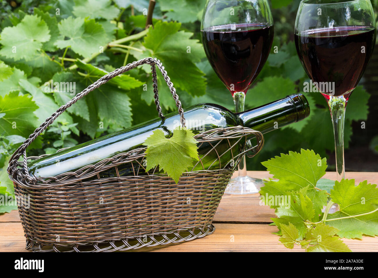 Verres à vin rouge de feuilles de vigne dans le jardin Banque D'Images