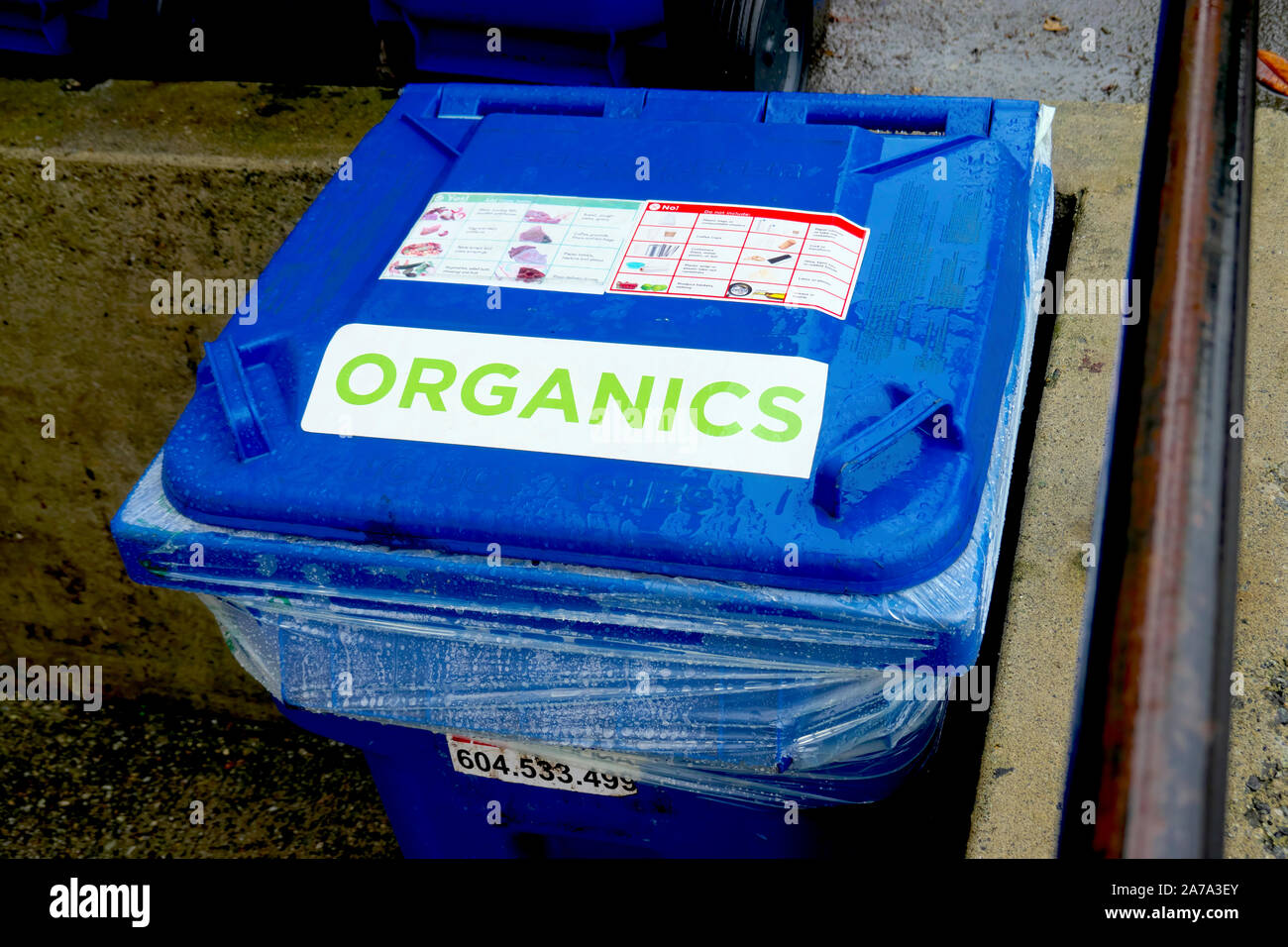 Un bac de recyclage bleu de matières organiques avec un revêtement en plastique transparent placé dans un escalier en ciment. Banque D'Images