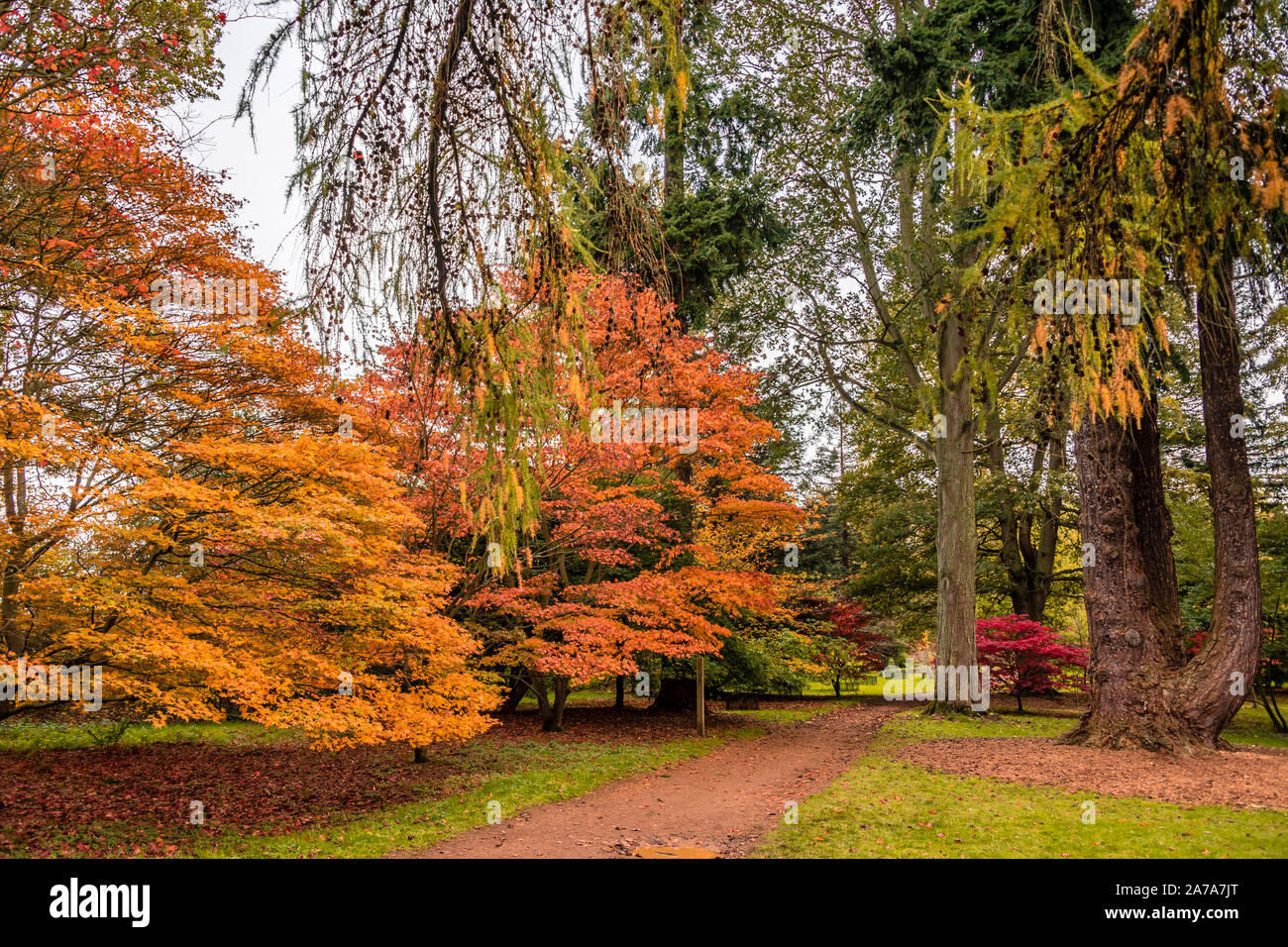 L'Arboretum d'Harcourt (Université d'Oxford). Banque D'Images