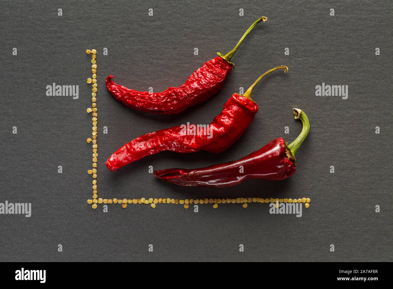 Trois poivrons bananes séchées rouge sur fond gris avec lignes graphique avec graines de poivre Banque D'Images