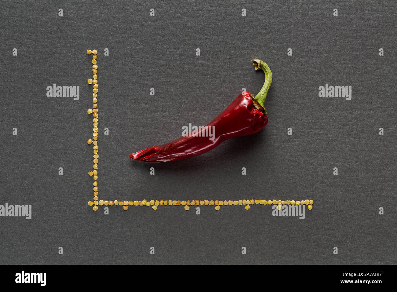 Seul le poivre de bananes séchées rouge sur fond gris avec lignes graphique avec graines de poivre Banque D'Images