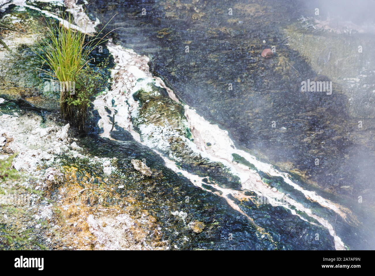 Background image abstraite de la vapeur d'algues avec de la vapeur volcanique passant de l'activité géothermique de la Vallée volcanique de Waimangu, Rotorua, Nouvelle-Zélande. Banque D'Images